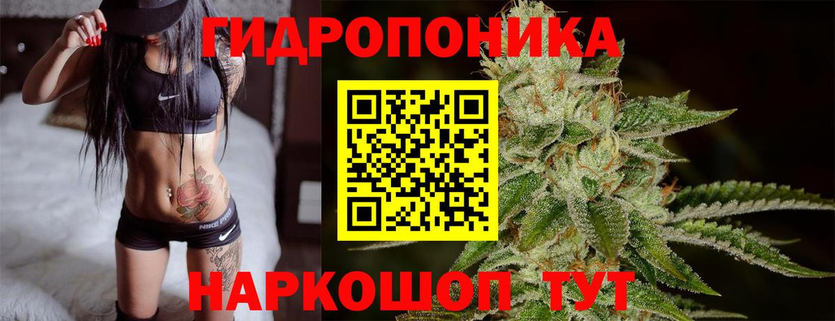 Канабис Amnesia Лабытнанги